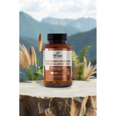 Glukozamin & Kondroitin & Msm Tip 2 90 Tablet