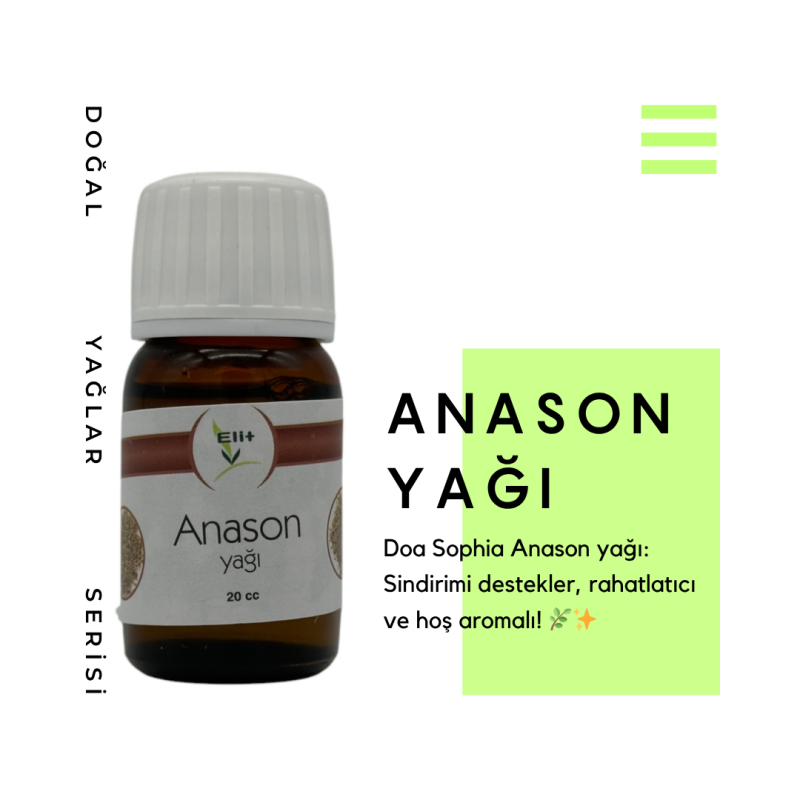 Anason Yağı 24K020CCY001