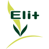 Elit Plus